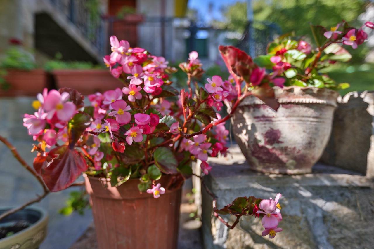 Guest House Villa Teres Šipka Exteriér fotografie